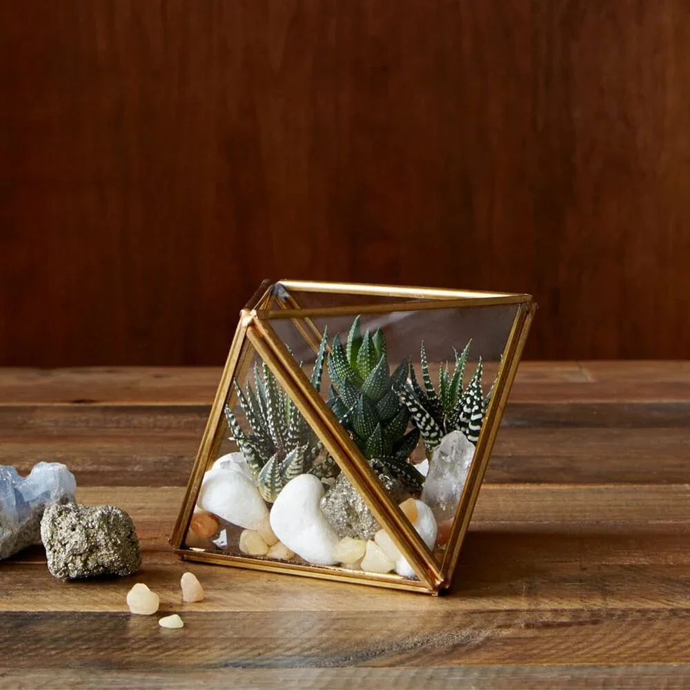 West Elm Geometric Faceted Glass Terrariums